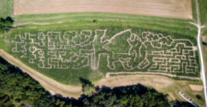 Right Choices Corn Maze