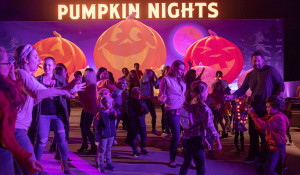 SDC Pumpkin Nights