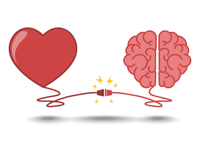 What love does to your brain