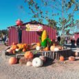 I would recommend visiting the Exeter Corn Maize attraction to experience  the family-fun activities and the haunting trails.